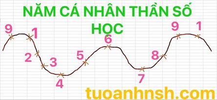 Ý nghĩa 9 năm cá nhân thần số học pitago
