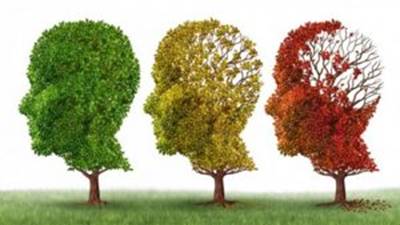 Bệnh mất trí nhớ Alzheimer – Mũi tên trống 3-6-9