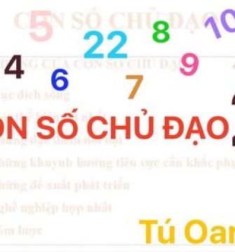 Thần số học số 2: Con số chủ đạo chỉ trực giác tốt và đáng tin cậy.