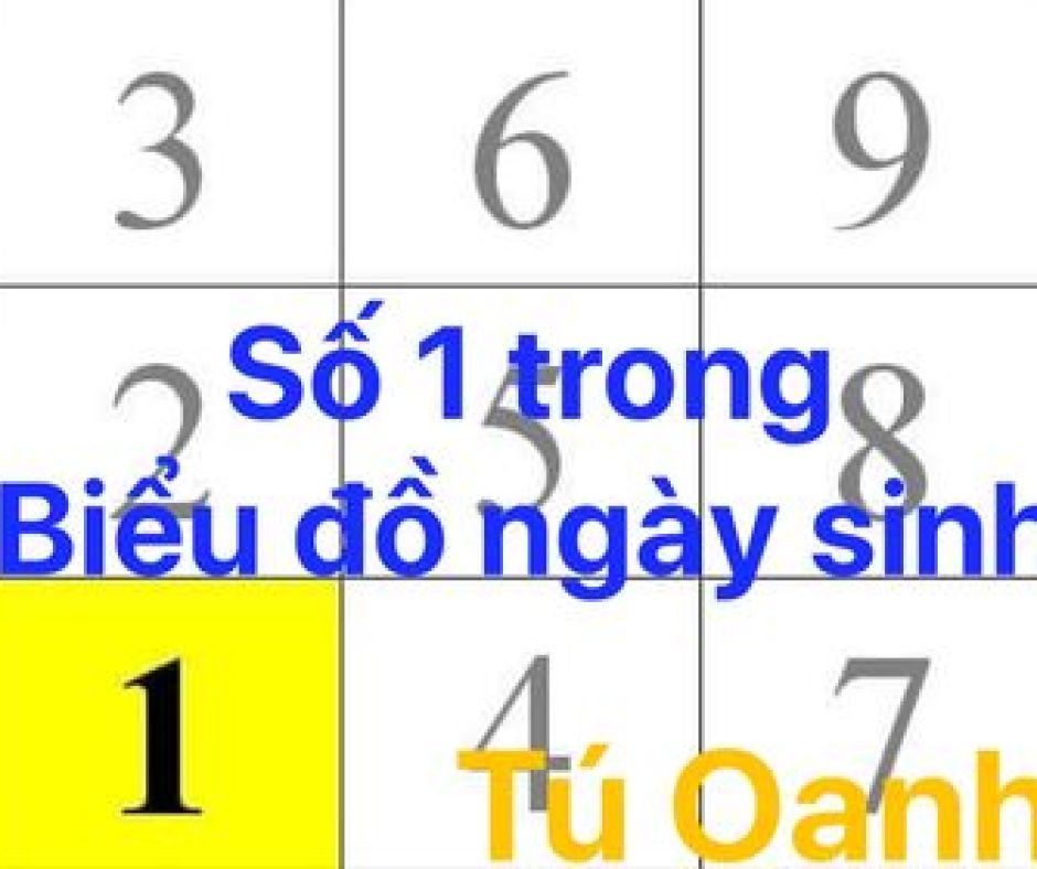 SỐ 1 TRONG BIỂU ĐỒ NGÀY SINH