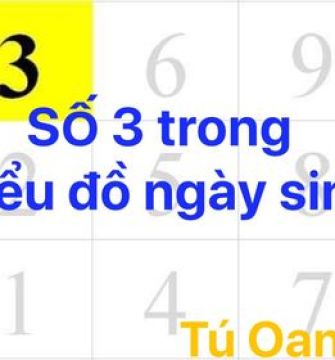 SỐ 3 TRONG BIỂU ĐỒ NGÀY SINH