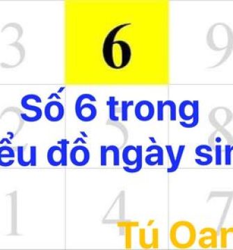 SỐ 6 TRONG BIỂU ĐỒ NGÀY SINH