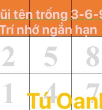 MŨI TÊN TRỐNG 3-6-9: TRÍ NHỜ NGẮN HẠN