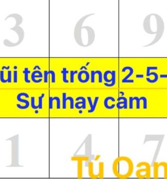 MŨI TÊN TRỐNG 2-5-8: SỰ NHẠY CẢM